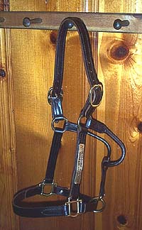Our sale halter / dress halter: Perfect for the sale ring or show ring.