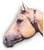 The Miracle Collar features a patented, anatomically correct fit which allows it to be worn comfortably and applies pressure only when the horse attempts to crib. As a result, horses can wear the Miracle Collar without pain or discomfort while drinking, eating, grazing or being ridden.