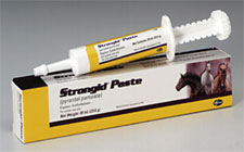 Strongid Paste. For use in horses and foals for the removal and control of mature infections of large strongyles, small strongyles, pinworms and large roundworms.